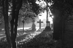 Fine art outdoor photograph capturing a quiet moment in a natural landscape.