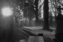 Fine art outdoor photograph capturing a quiet moment in a natural landscape.